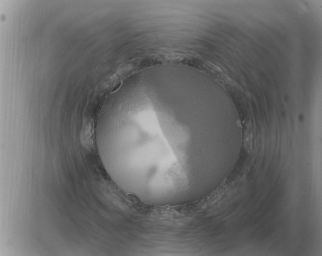 X0000084020866200703022054