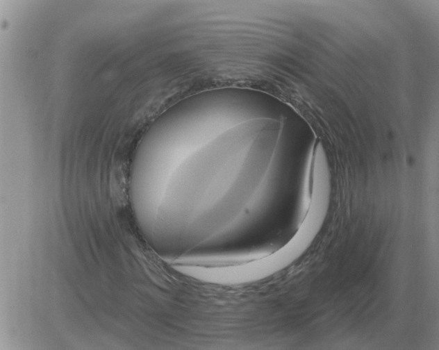 X0000084020868200703022054