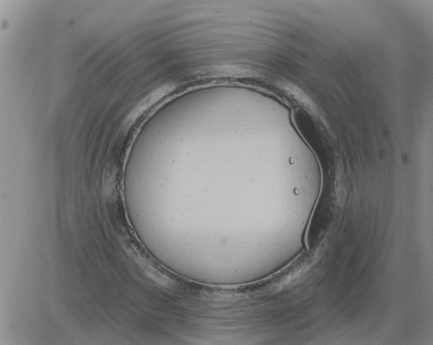 X0000084020873200703022054