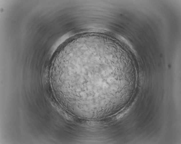 X0000084020875200703022054