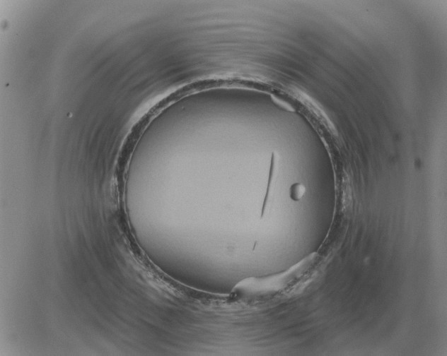 X0000084020876200703022054