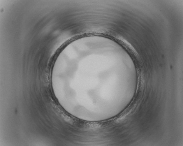 X0000084020878200703022054