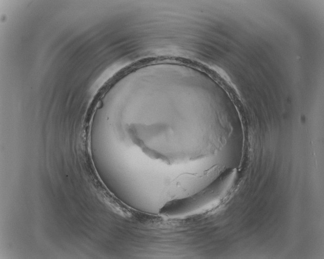 X0000084020879200703022054