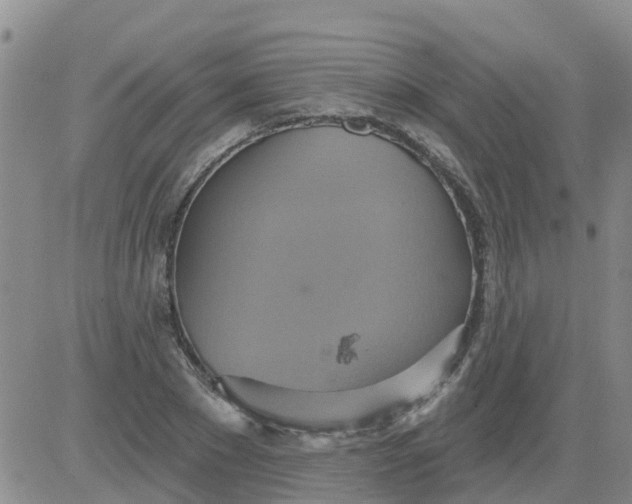 X0000084020881200703022054