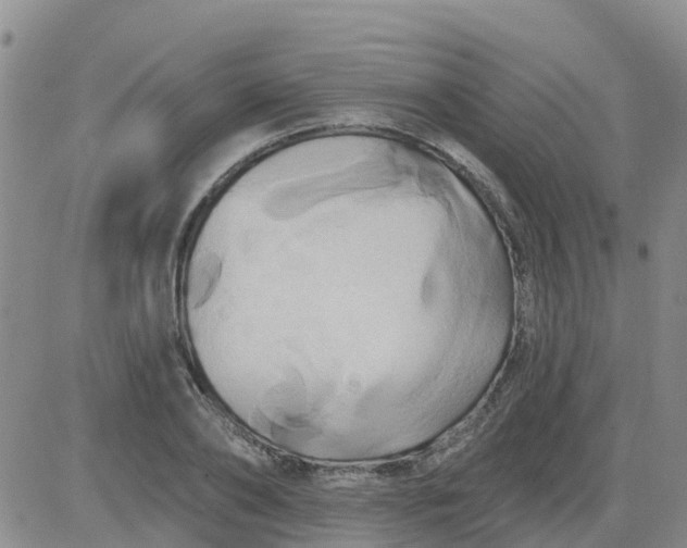 X0000084020886200703022054