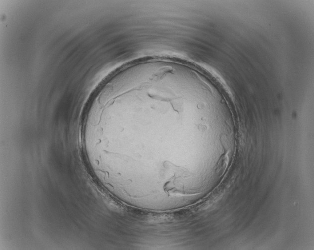 X0000084020887200703022054