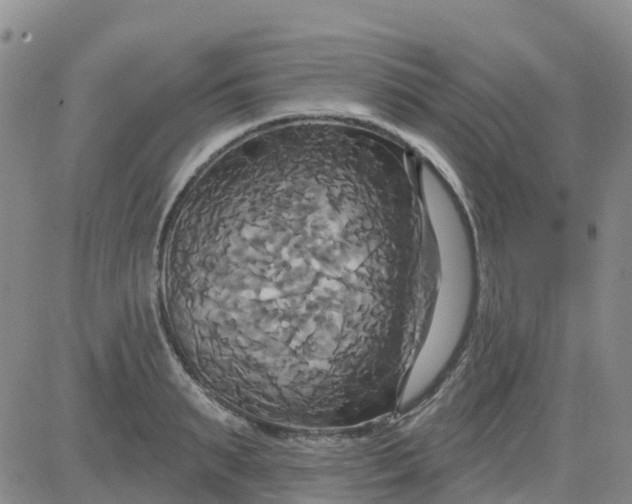 X0000084020895200703022054