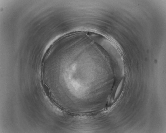 X0000084020896200703022054