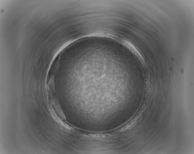 X0000084020900200703022054