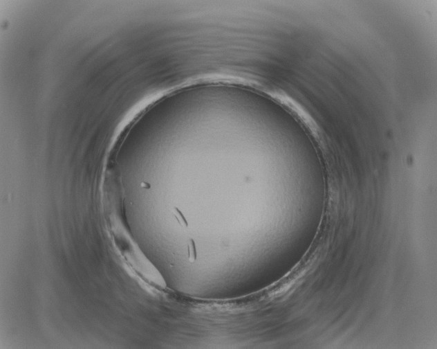 X0000084020902200703022054