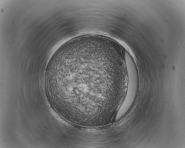 X0000084020903200703022054