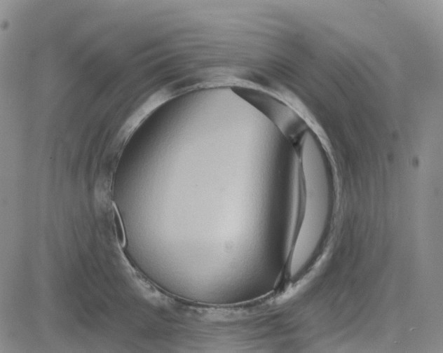 X0000084020905200703022054