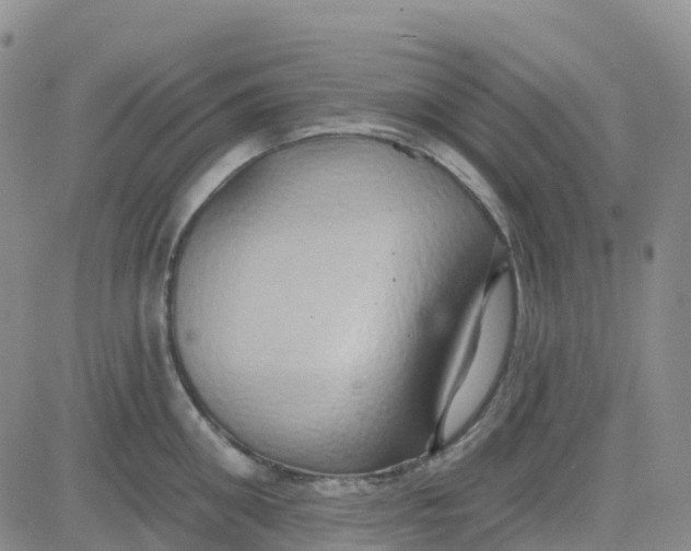 X0000084020906200703022054