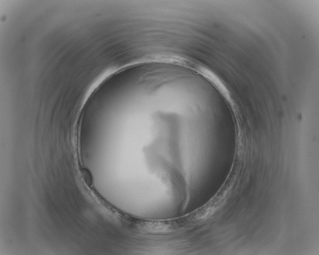 X0000084020907200703022054