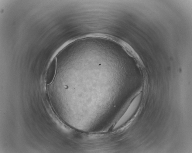 X0000084020908200703022054