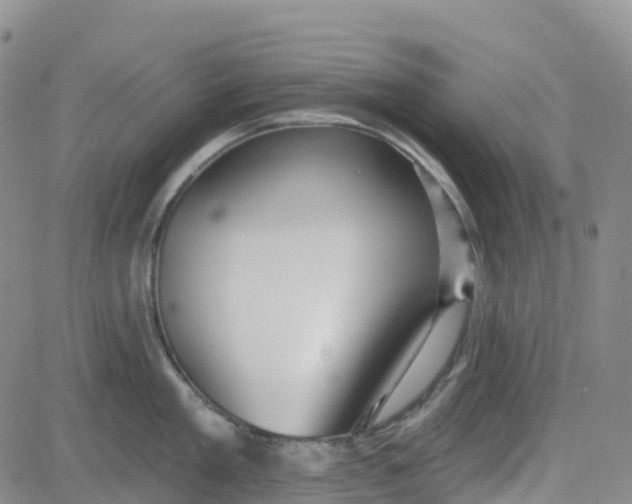 X0000084020909200703022054