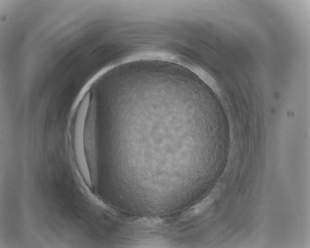 X0000084020912200703022054