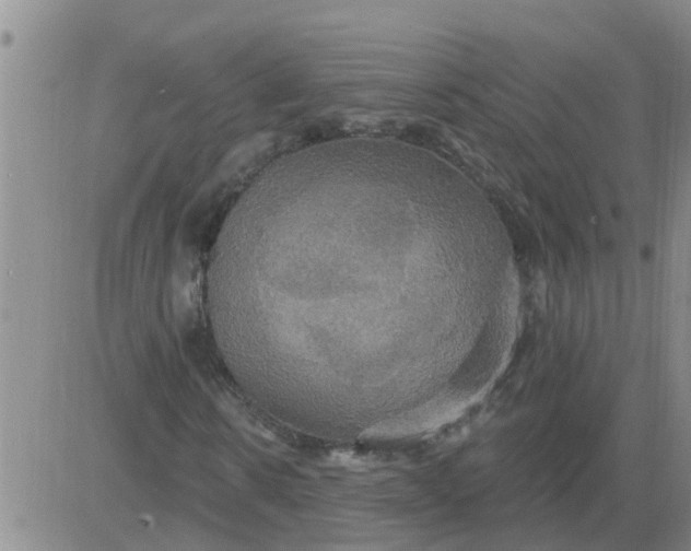 X0000084020914200703022053