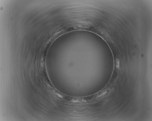 X0000084020915200703022053