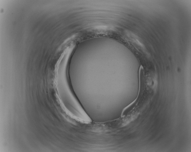 X0000084020916200703022053