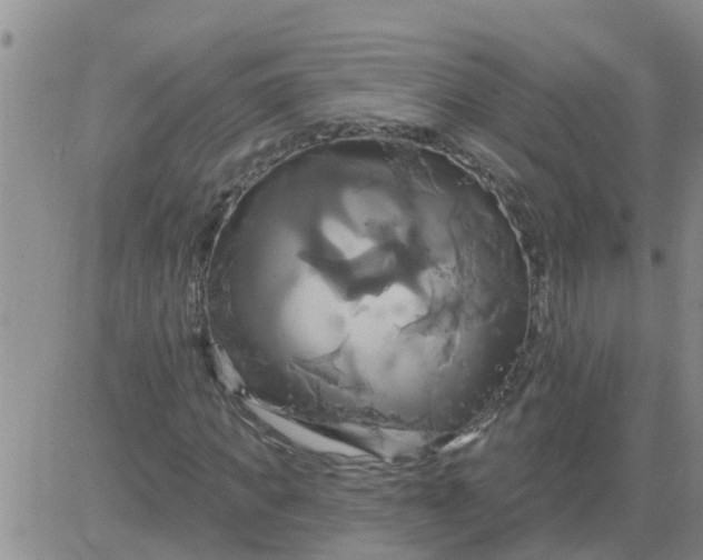 X0000084020917200703022053