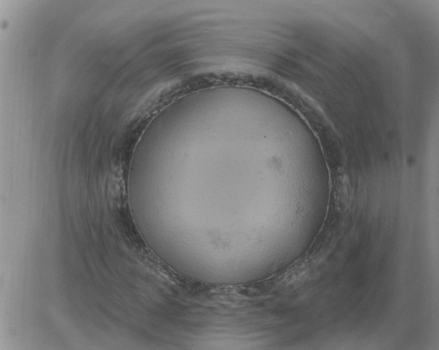 X0000084020918200703022053