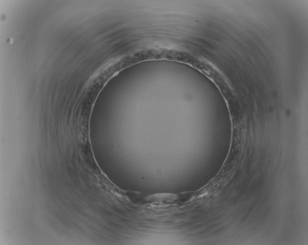 X0000084020919200703022053