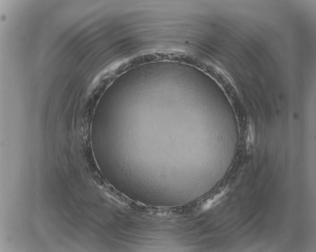 X0000084020920200703022053