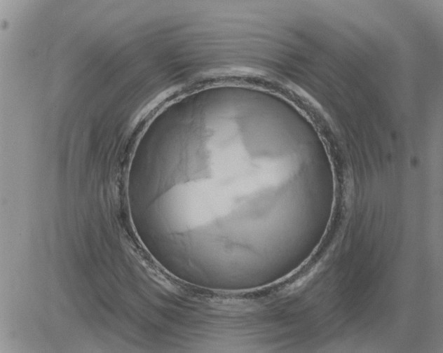 X0000084020921200703022053