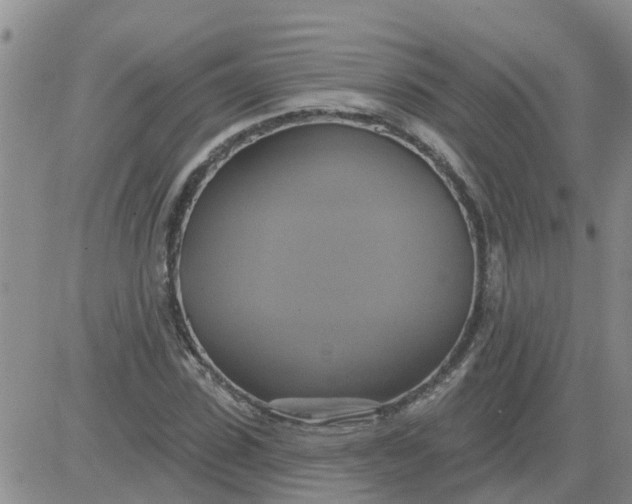 X0000084020923200703022053