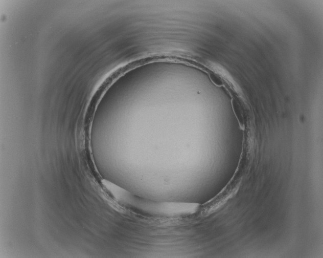 X0000084020924200703022053