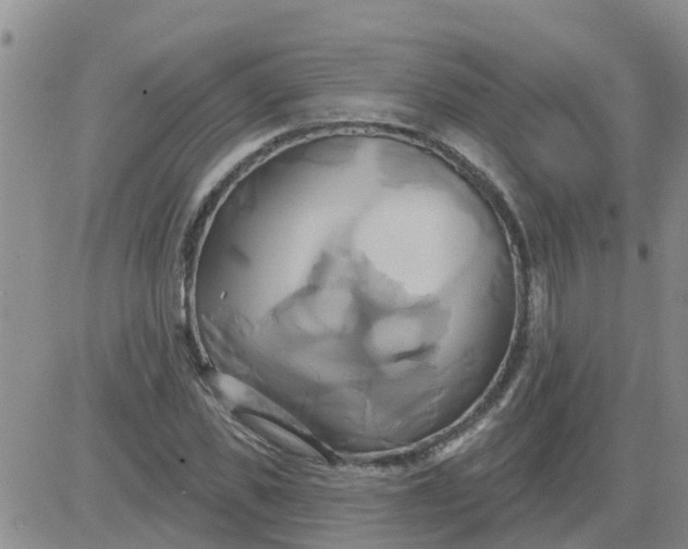 X0000084020925200703022053