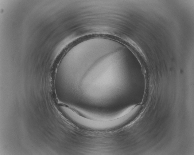 X0000084020926200703022053