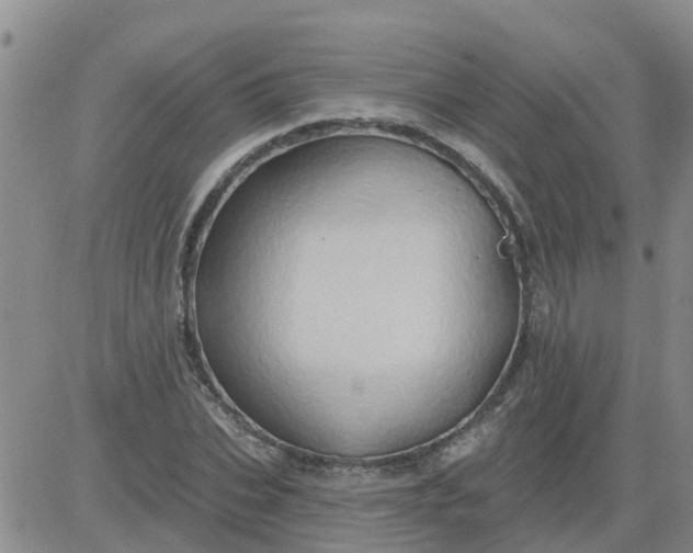 X0000084020927200703022053