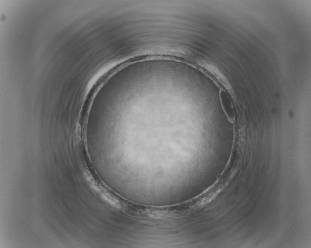 X0000084020928200703022053