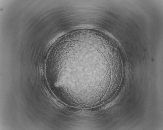 X0000084020929200703022053