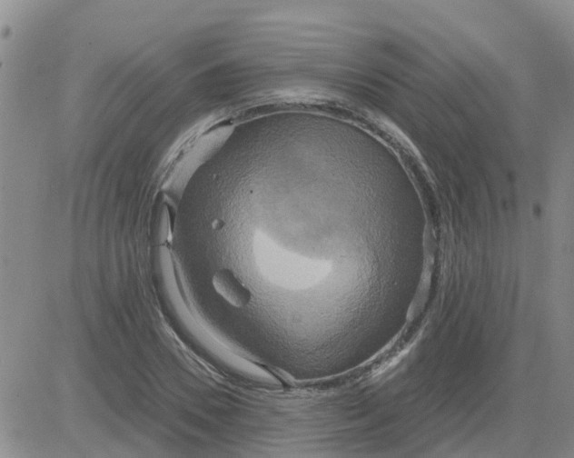 X0000084020930200703022053