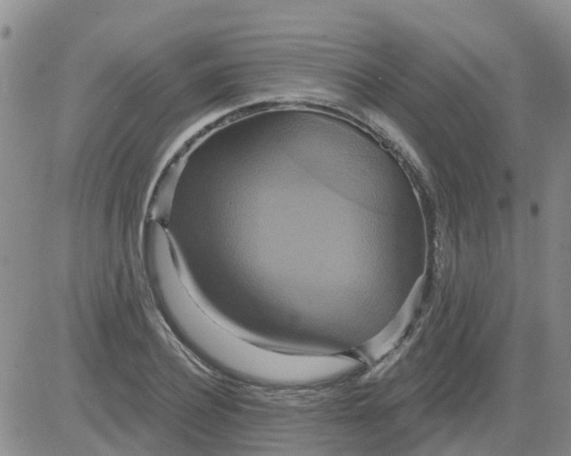 X0000084020932200703022053