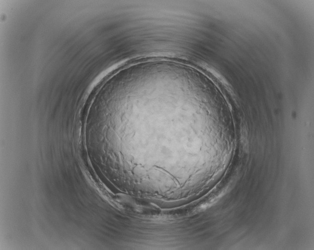 X0000084020933200703022053