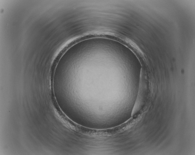 X0000084020934200703022053