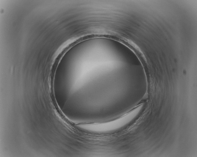 X0000084020935200703022053