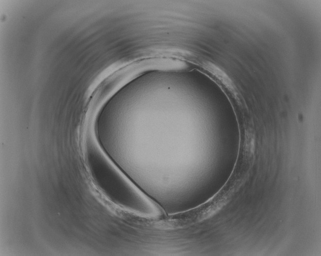 X0000084020936200703022053