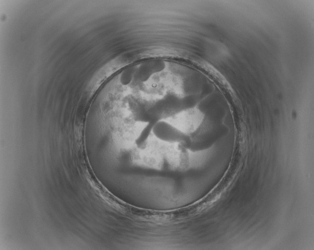 X0000084020937200703022053