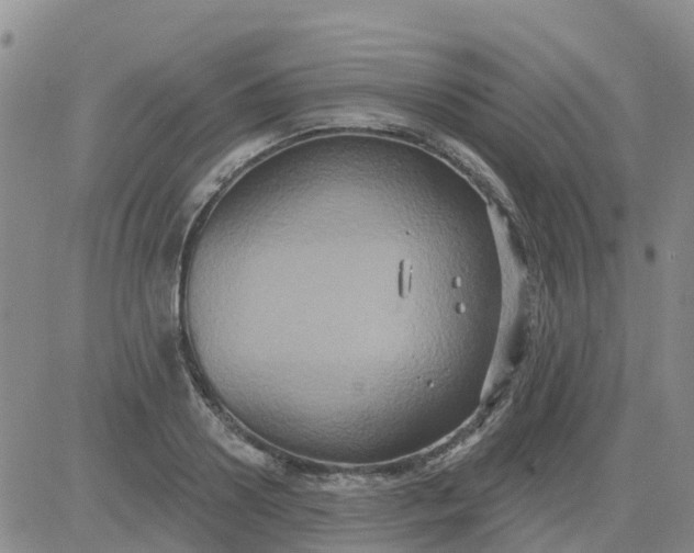 X0000084020938200703022053