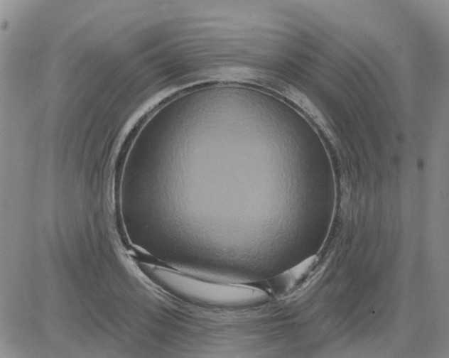 X0000084020939200703022053