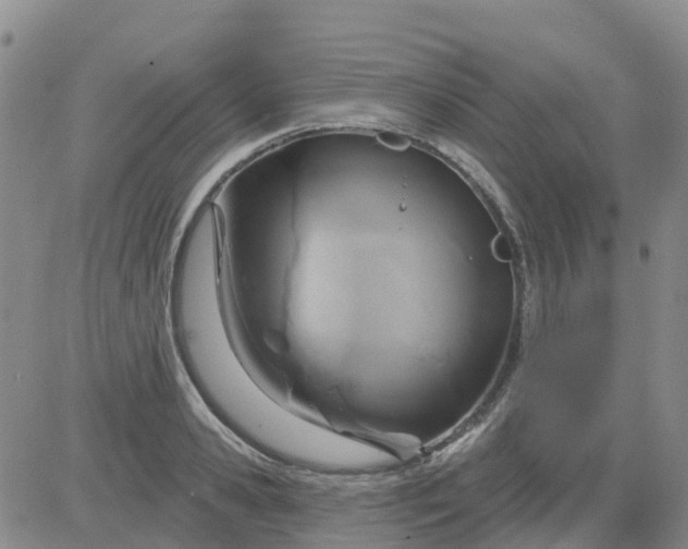 X0000084020941200703022053