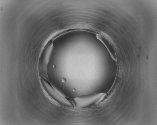 X0000084020942200703022053