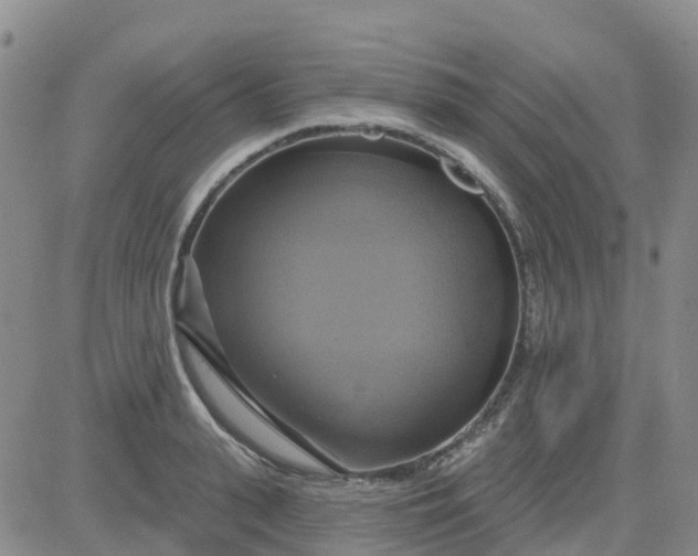 X0000084020943200703022053