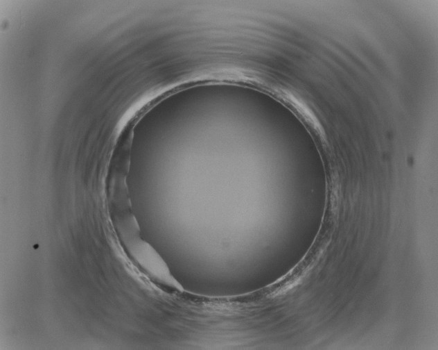 X0000084020944200703022053