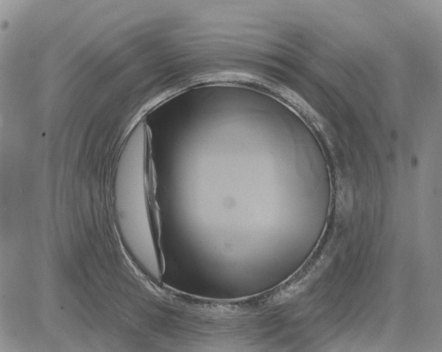 X0000084020945200703022053